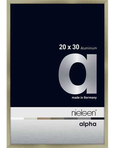 Alpha 20x30 acier brossé