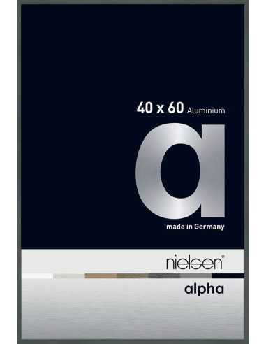 Alpha 40x60 platine