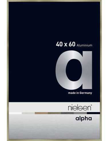 Alpha 40x60 acier brossé