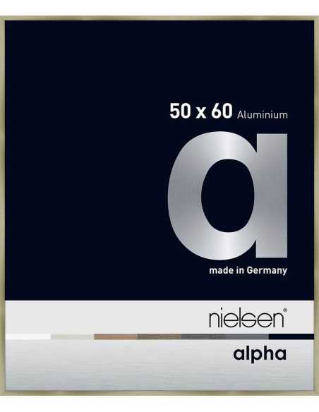Alpha 50x60 acier brossé